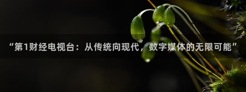 松鼠直播nba：“第1财经电视台：从传统向现代，数字媒体的无限可能”