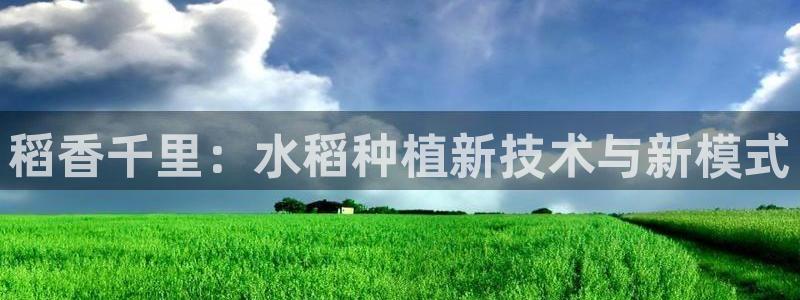 松鼠体育在线直播：稻香千里：水稻种植新技术与新模式