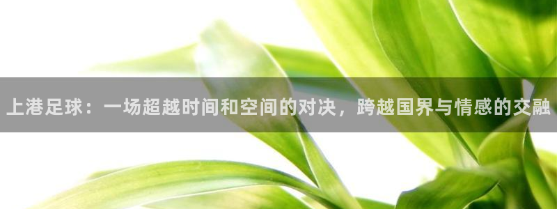 松鼠宝贝体育：上港足球：一场超越时间和空间的对决，跨越国界与情感的交融