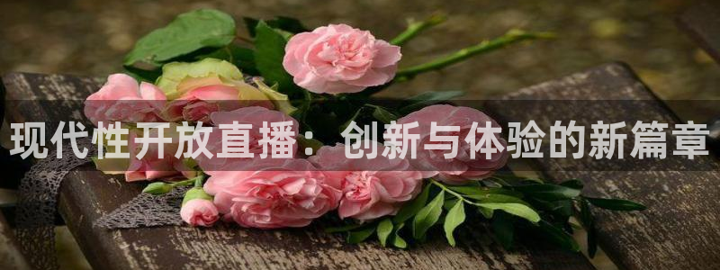下载松鼠电视直播：现代性开放直播：创新与体验的新篇章