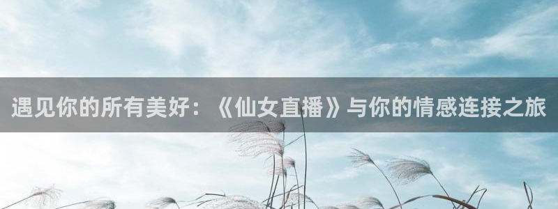松鼠体育：遇见你的所有美好：《仙女直播》与你的情感连接之旅