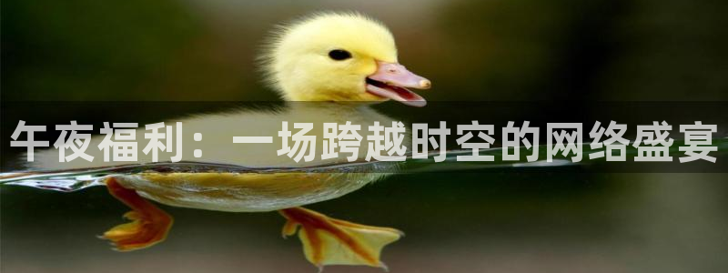 松鼠直播体育：午夜福利：一场跨越时空的网络盛宴