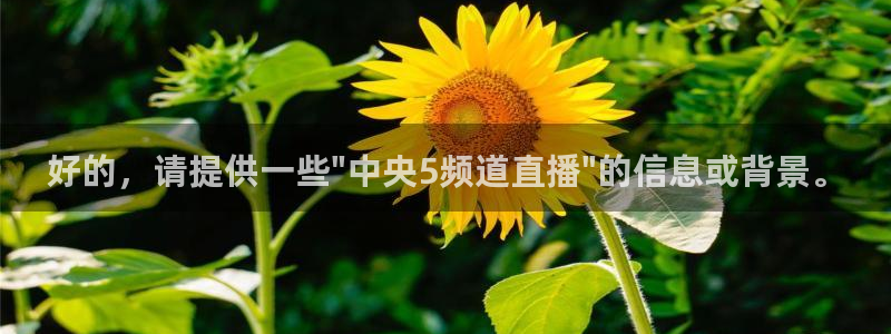 松鼠官方网站：好的，请提供一些\