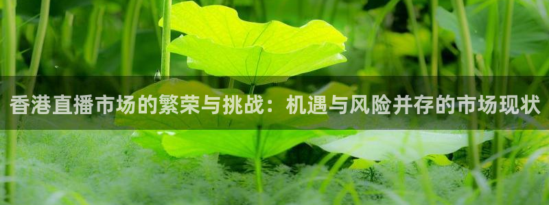 松鼠官方网站：香港直播市场的繁荣与挑战：机遇与风险并存的市场现状