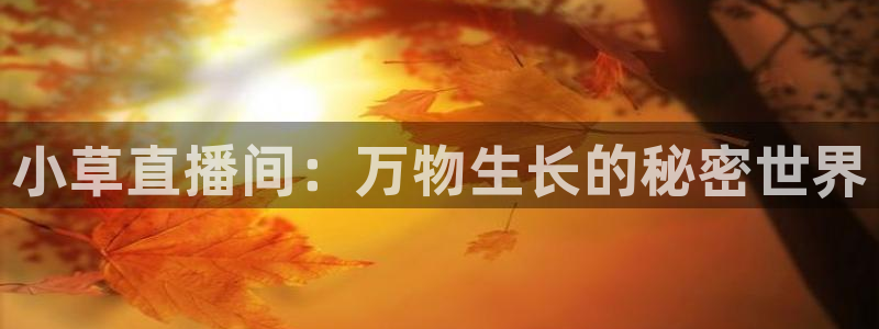 松鼠直播：小草直播间：万物生长的秘密世界