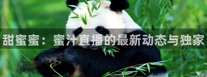 松鼠官方网站：甜蜜蜜：蜜汁直播的最新动态与独家